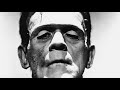 Quotes From Mary Shelley S Frankenstein Quotes From Mary Shelley S Frankenstein