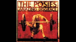 Watch Posies Everybody Is A Fucking Liar video