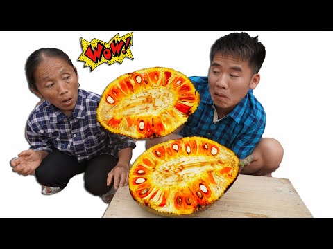 Hưng Vlog - Phát Hiện Cây Mít Của Mẹ Bà Tân Vlog Ra Trái Đỏ Thần Kỳ | Prank Mom