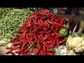 Bhutan Travel Video Guide