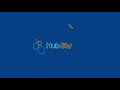 search engine