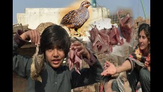 Ham Ke Bahut Hi Parey Batair Zibah Kar Daly New Pet Vlog Jannat Pets Valley