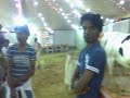 0003 images 0003