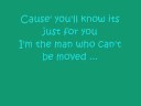 The Script- The Man Who Cant Be Moved ( lyrics )