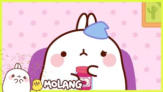 Molang - The Jam Jar | Full Molang episodes - Cartoon for kids