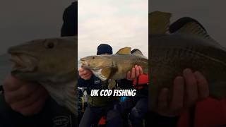 Winter Sib Boat Fishing For Cod