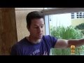 Mark Wahlberg:pumping up for Pain & Gain