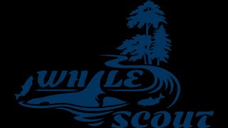 2021-11-19 WOL: FREE TODAY! WWE cuts, Survivor Series, AEW ratings, more! Whale Scout!
