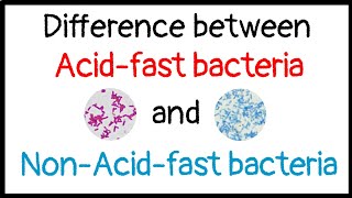 Difference Between Acid-Fast And Non-Acid-Fast Bacteria