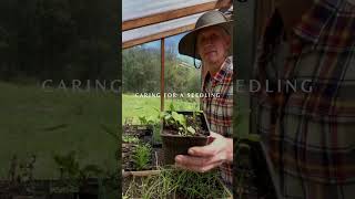 Sustainability At Newtree Ranch