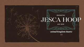 Watch Jesca Hoop Animal Kingdom Chaotic video