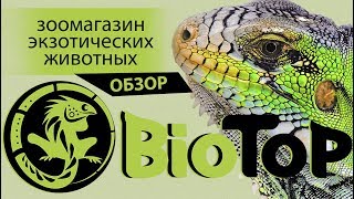 Видео BioTop,Пауки-Птицееды Тирасполь! Змеи и другая экзотика. ВИДЕООБЗОР,(#ВадимМиху) от Вадим Миху, Октябрьский квартал, Тирасполь, Молдавия