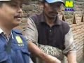 image Kiat Mempercepat Panen Lele Dengan Nasa