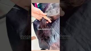 Haircutuncut Tamilwith Blow Dry Tamil