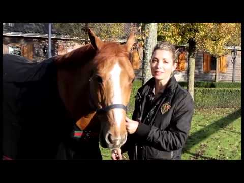 2011 Gucci Masters: Meet Edwina Alexander