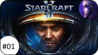 WAS BISHER GESCHAH | #01 | StarCraft II - Wings of Liberty | Flu - BetterNotGames