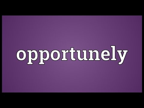 Header of opportunely