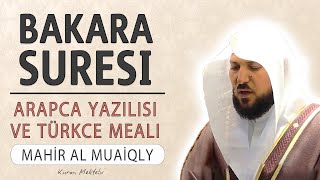 Bakara suresi anlamı dinle Mahir al Muaiqly (Bakara suresi arapça yazılışı okunu