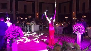 Line Up Music Wedding Giselle Violin Performance