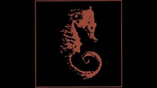 Watch Sea Nymphs The Spirit Spout video