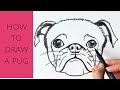 How to draw a pug dog