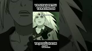 Madaranın Hazin Sonu