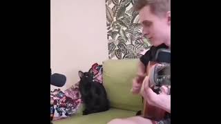 Кот Поёт Под Гитару