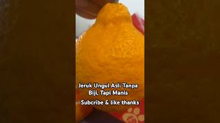 Jeruk Unggul Tanpa Biji