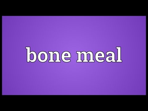 Header of Bone meal