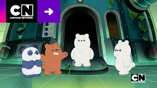 O Conto De Dois Ursos Polares Ursinhos Em Curso Cartoon Network