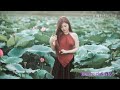 Nhạc trữ tình bolero hay chọn lọc 2019
