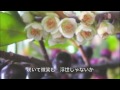 勝負坂／永井裕子　cover　Keizo