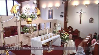 Holy Rosary and Devotions with the Franciscan Missionaries of the Eternal Word - 2021-05-16 - Holy R