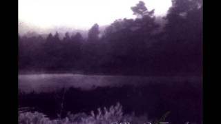 Watch In The Woods Heart Of The Ages video