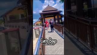 Cinto Boyo - Eda Ezrin Coming Soon