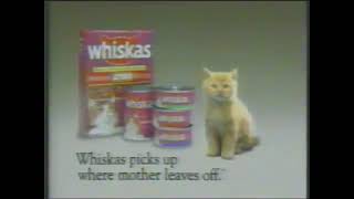 Whiskas Ad- Birth Of A Cat