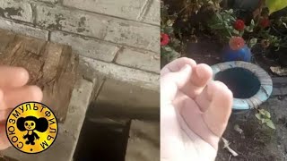Винни Пух Советские Мультики Для Детей