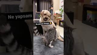 Para Bi̇zde