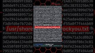 Want To Crack A Zip File? Try This Now