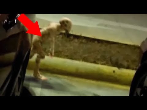 5 Strangest Things Caught In Parking Lots!