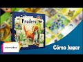 Pradera (Meadow) - Comentarios y Cómo Jugar