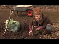 Winter work on the allotment with Alys Fowler