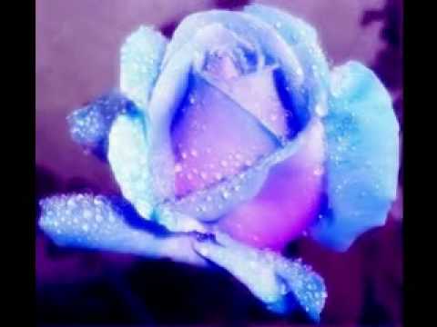 Khuda Ko Dikh Raha Hoga Na Dil Tujhse Juda Hoga Teri Taqdeer...