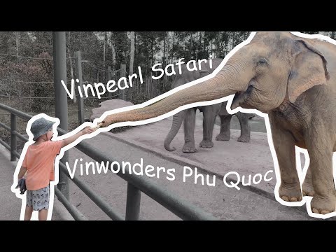 Vinpearl Safari Phú Quốc và Vinwonders Phú Quốc có gì hay?