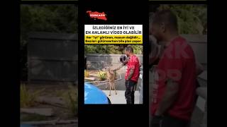 İyi Insanlar Her Zaman Iyi Değildir. Bazen En Tehlikeliler, Iyi Rolünü En Iyi Oynayanlardır