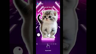 Cute Cat Dance Blackpink Kill This Love Funny Tiles Hop Edm