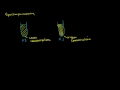 spectrometer