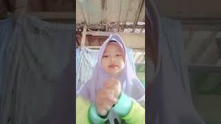 12 Juni 2025