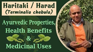 Haritaki Harad Terminalia Chebula - Ayurvedic Properties, Health Benefits & Medicinal Uses