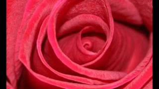 Watch Dephazz Roses video